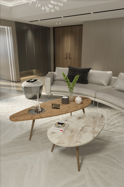 Orta Sehpa Seti Modern 2’li Ahşap Ayaklı Salon Oturma Odası Dekoratif Sehpa Takımı