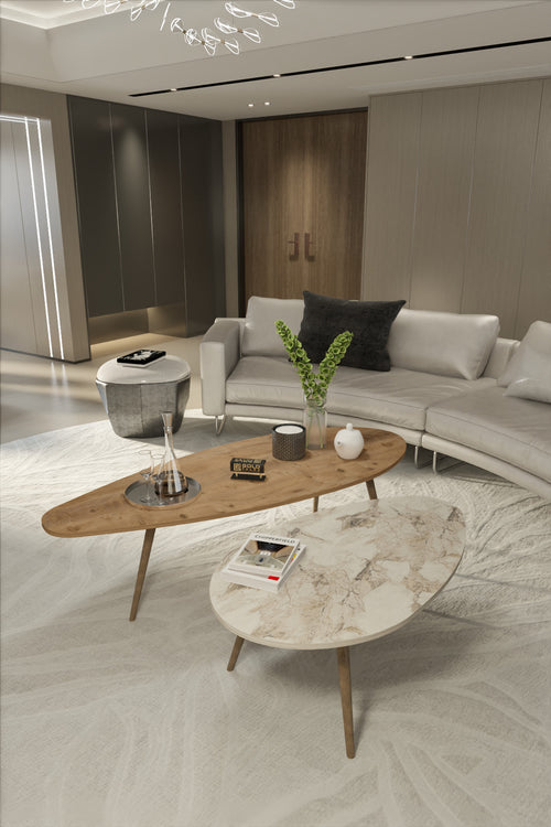 Orta Sehpa Seti Modern 2’li Ahşap Ayaklı Salon Oturma Odası Dekoratif Sehpa Takımı