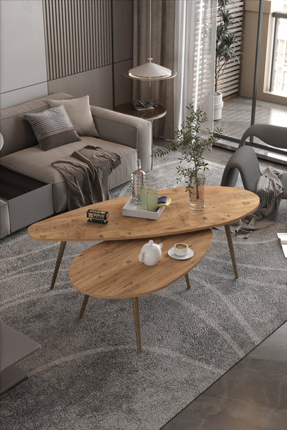 Orta Sehpa Seti Modern 2’li Ahşap Ayaklı Salon Oturma Odası Dekoratif Sehpa Takımı