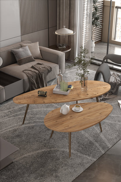 Orta Sehpa Seti Modern 2’li Ahşap Ayaklı Salon Oturma Odası Dekoratif Sehpa Takımı