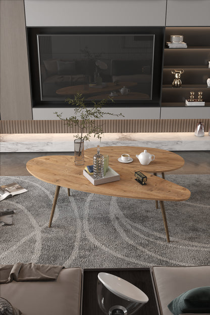 Orta Sehpa Seti Modern 2’li Ahşap Ayaklı Salon Oturma Odası Dekoratif Sehpa Takımı