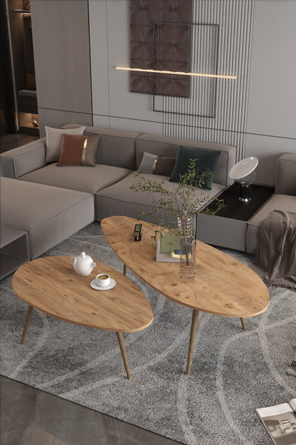 Orta Sehpa Seti Modern 2’li Ahşap Ayaklı Salon Oturma Odası Dekoratif Sehpa Takımı