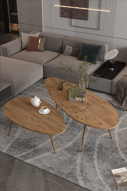 Orta Sehpa Seti Modern 2’li Ahşap Ayaklı Salon Oturma Odası Dekoratif Sehpa Takımı