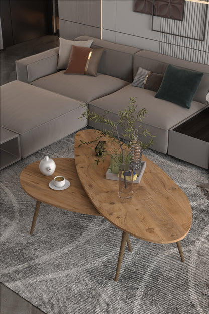 Orta Sehpa Seti Modern 2’li Ahşap Ayaklı Salon Oturma Odası Dekoratif Sehpa Takımı