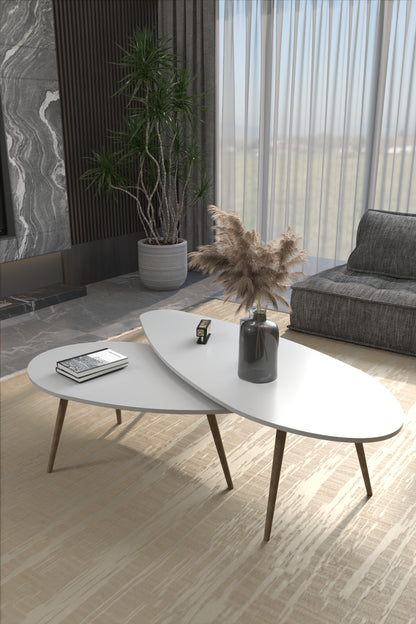 Orta Sehpa Seti Modern 2’li Ahşap Ayaklı Salon Oturma Odası Dekoratif Sehpa Takımı