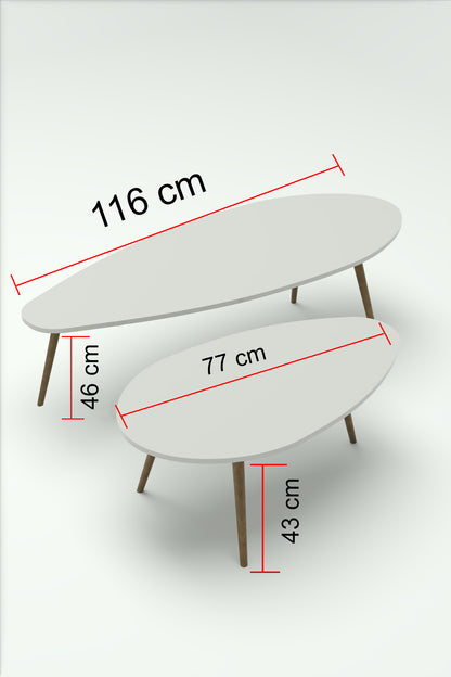 Orta Sehpa Seti Modern 2’li Ahşap Ayaklı Salon Oturma Odası Dekoratif Sehpa Takımı