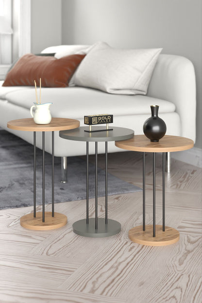 Orta Sehpa Ve Zigon Sehpa Terra 4 Lü Set