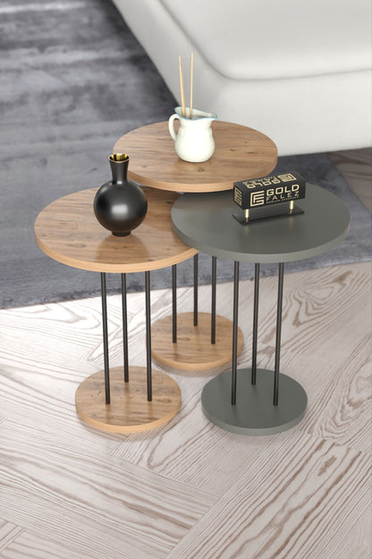 Orta Sehpa Ve Zigon Sehpa Terra 4 Lü Set