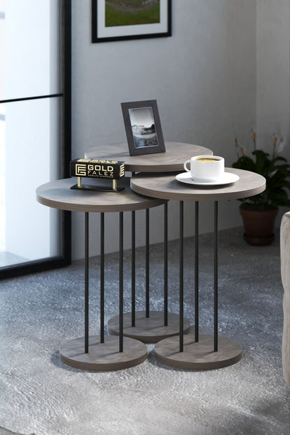 Orta Sehpa Ve Zigon Sehpa Terra 4 Lü Set