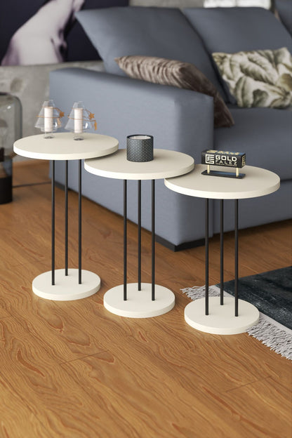 Orta Sehpa Ve Zigon Sehpa Terra 4 Lü Set