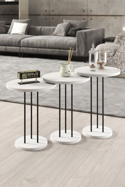 Orta Sehpa Ve Zigon Sehpa Terra 4 Lü Set